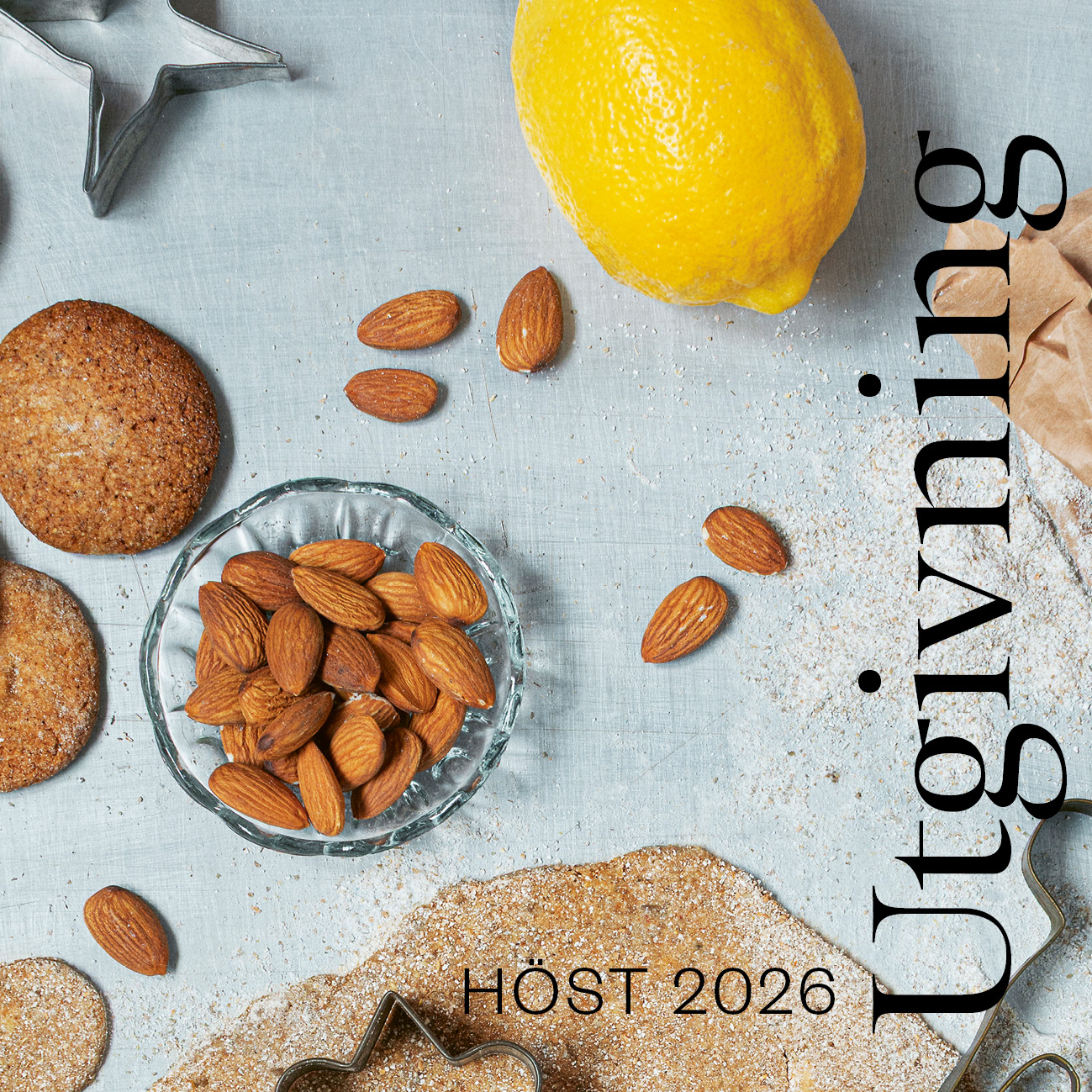 Här är våra höstböcker 2026